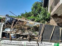 Best Hoarding Cleanup  in Calumet, PA